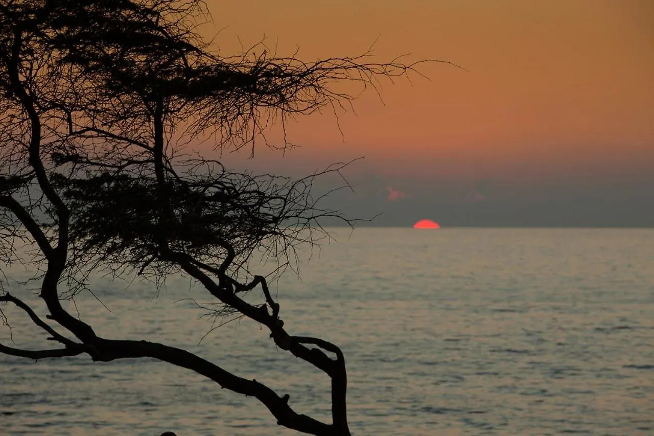 Maui Parkshore By Coldwell Banker Island Vacations Wailea  Apartment