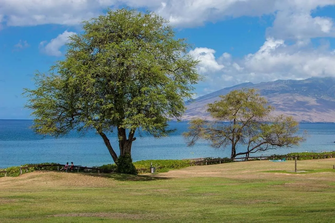 Maui Parkshore By Coldwell Banker Island Vacations Wailea  United States